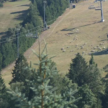 Vakantiewoning Evalisa