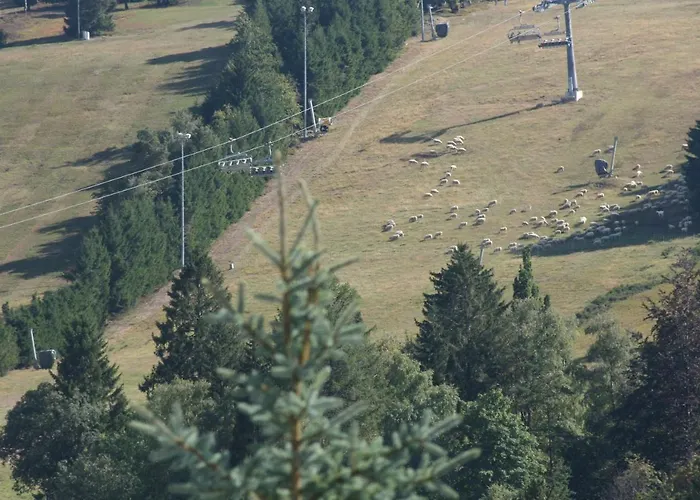 Vakantiewoning Evalisa