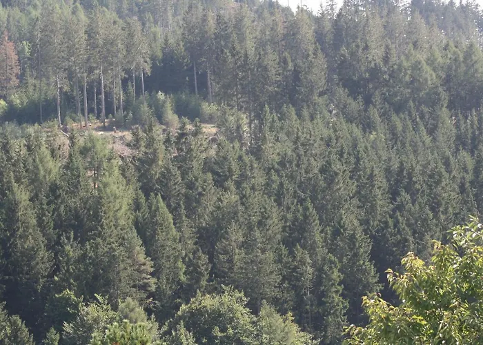 Vakantiewoning Evalisa Appartement *