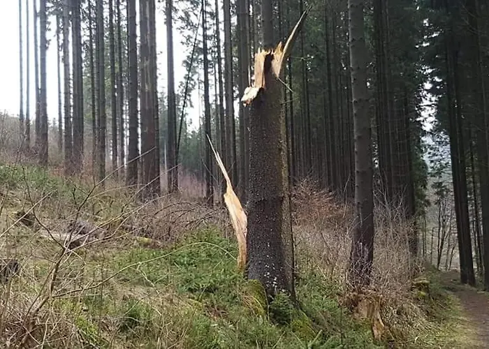 Appartement Vakantiewoning Evalisa