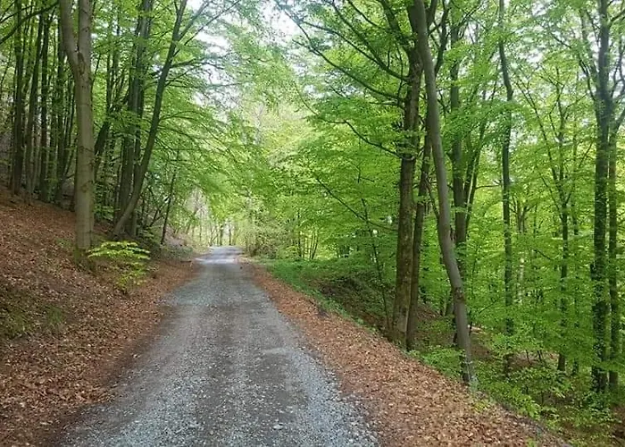 Vakantiewoning Evalisa Appartement