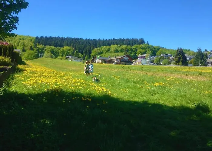 Appartement Vakantiewoning Evalisa Willingen (Upland)