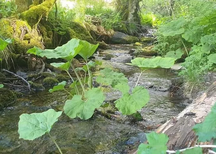 Appartement Vakantiewoning Evalisa