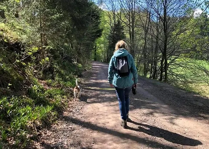 Vakantiewoning Evalisa Appartement Willingen (Upland)