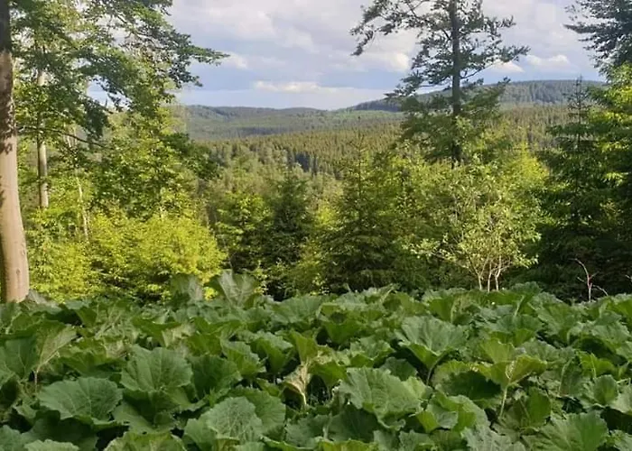 Vakantiewoning Evalisa Appartement