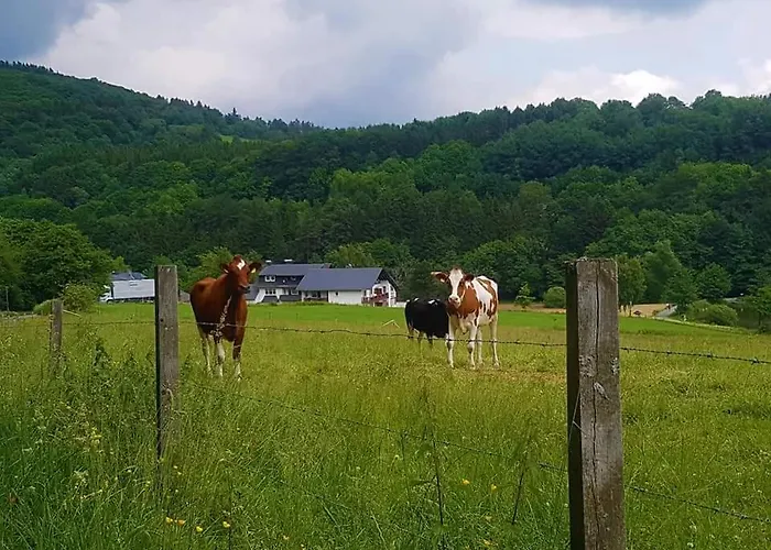 Appartement Vakantiewoning Evalisa Willingen (Upland)