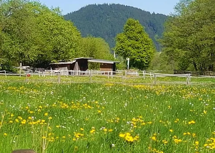 Vakantiewoning Evalisa Appartement