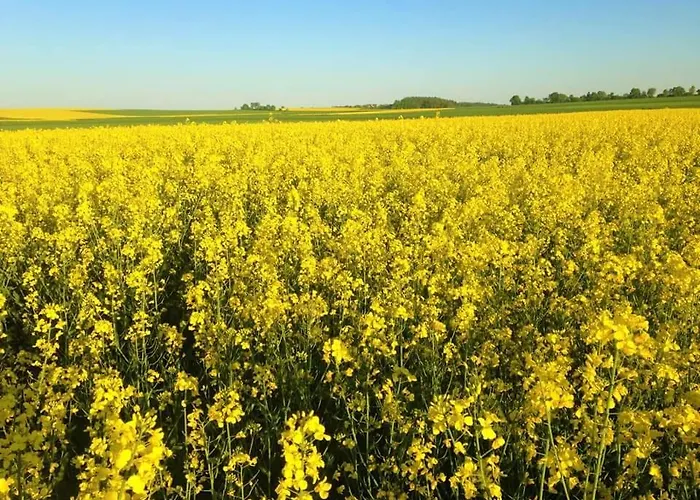 Vakantiewoning Evalisa * Willingen (Upland)