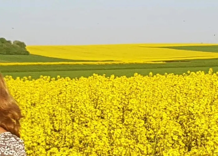 Vakantiewoning Evalisa Appartement Willingen (Upland)